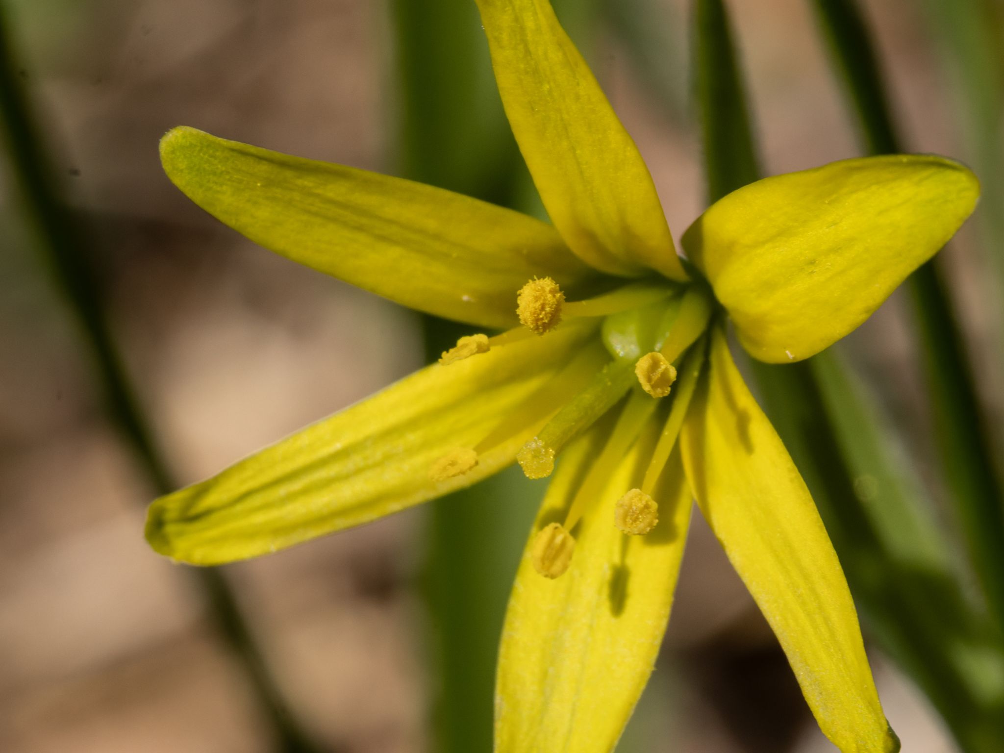 127 260410 1635 J  2JR0024 DxO DeepPRIME 3